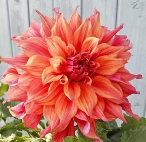 اهنگ به جون تو قسم دوست دارم نمیتونم ازت چشم بردارم