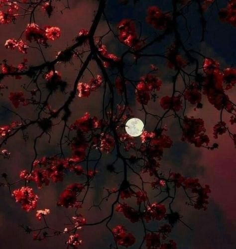 اهنگ گفتی که برم میرم لااقل میاد گرم گیرم همه چی چشم دیدم