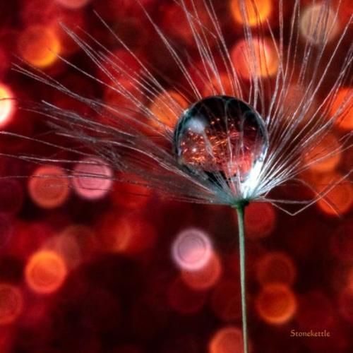 اهنگ یهو اومد حمیرا صداش دستور نمیده مغزم به بدنم وسطن همه