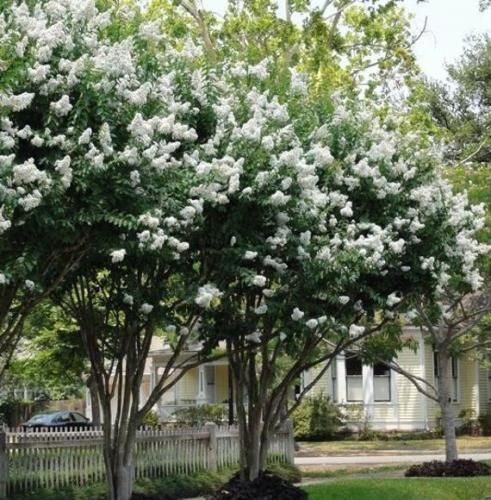 اهنگ منو برگردون عقب به شبی که اسم تورو پرسیدم اگه برگردم عقب نمیبینمت