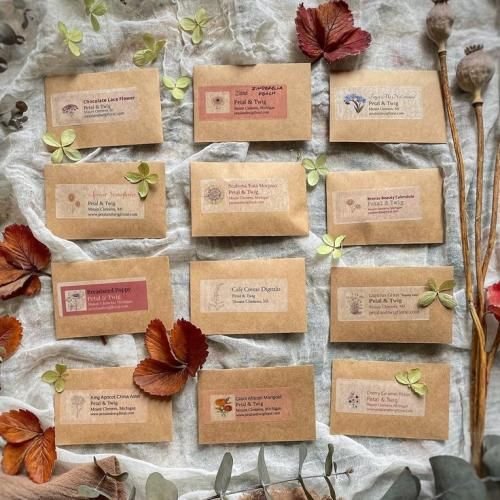 اهنگ تو با این سن کم بردی ازم هوش حواس و زندگیمو الان کاشکی فقط باشی