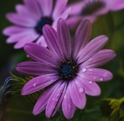 اهنگ شب اخر بغل کردم اشکام ریخت میدونستم انگار میاد سرم فرداش