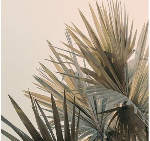 اهنگ چته بیبی چته بیبی فریکی خودخواه دو رو چته بیبی چته بیبی