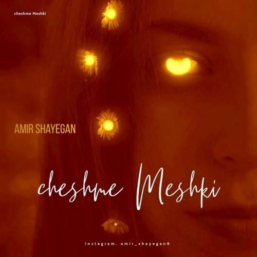 امیر شایگان چشم مشکی
