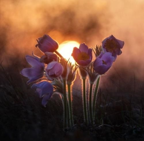 اهنگ اگه دلت پیشم آرومه نرو حالا که تو خیابونا پره بارونه نرو