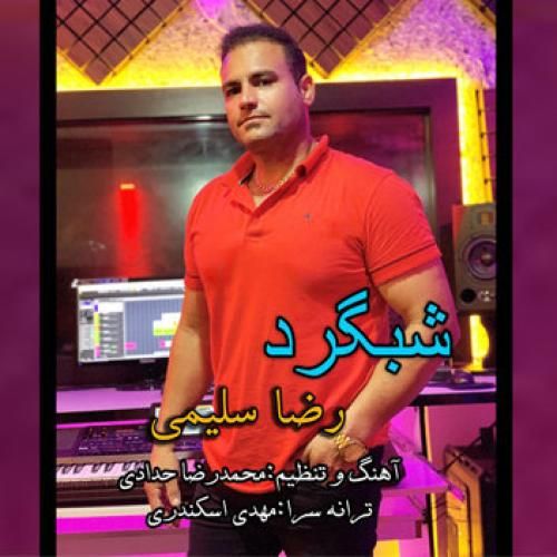 رضا سلیمی شبگرد