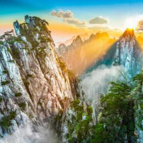  تو هم هنر داری ولی هنرت کسبه