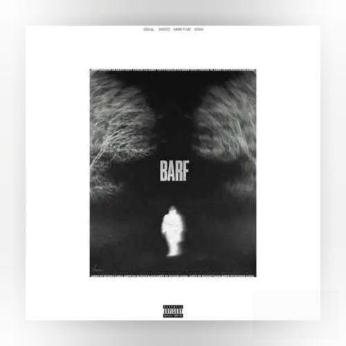 جیدال و امین تیجی برف