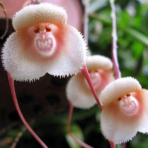  حالم بده چی شده خانوم حالم بده حالش بده