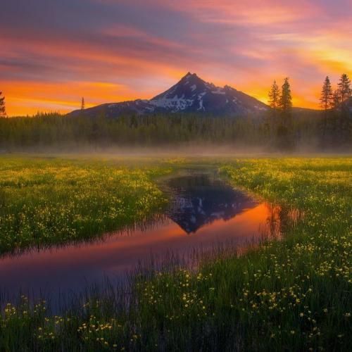 منه دیوونه نمیدم بعد تو کسیو ترجیح یه روز پاشدم