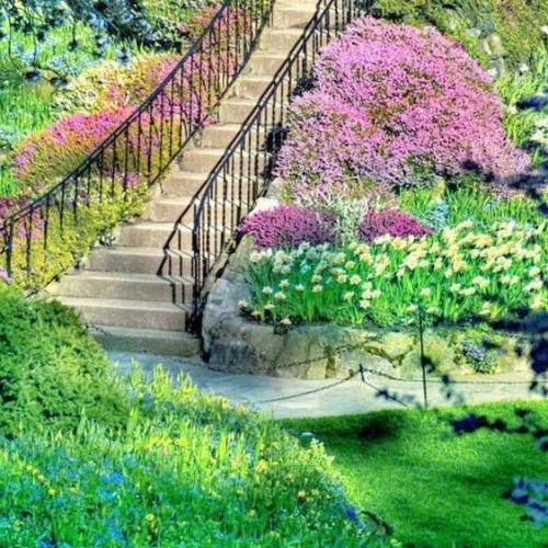 اونی خطر میکنه که چیزی واسه از دست دادن نداره