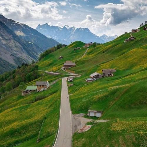 جدی می فرمایید ورژن اینستایی