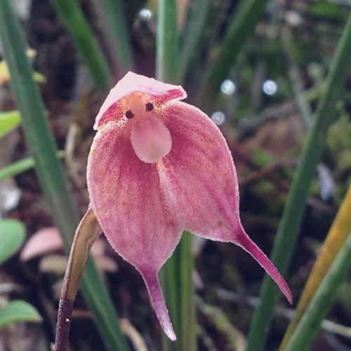  عکس میزاری با لباسای مشکی تیره