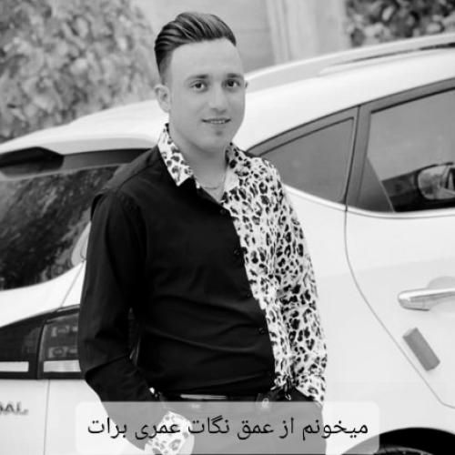 مصطفی ابراهیمی میخونم از عمق نگات عمری برات