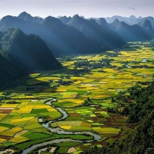  تاقی به سرت تاقی شاهی به سرت