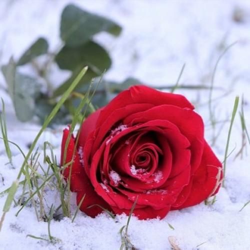 چشات ارتش هیتلر بود نگاهت دنیامو غارت کرد