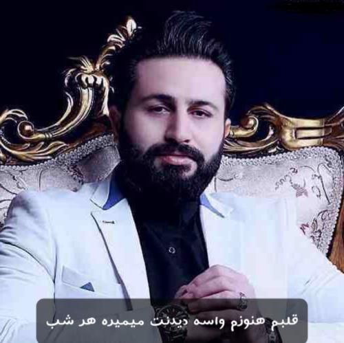 مرتضی جعفرزاده قلبم هنوزم واسه دیدنت میمیره هر شب