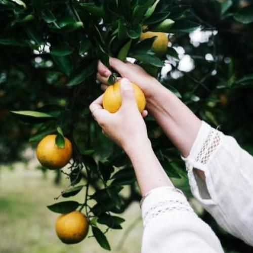  دلت یاس پر احساس آی مریم نازم با صدای زن