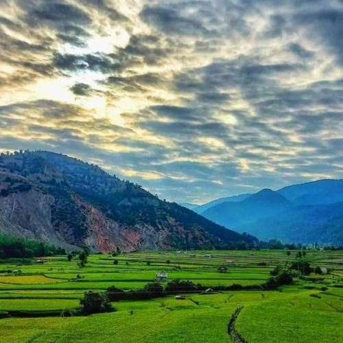 دشت امشبم هزار تومن گرفتن از توی جیب توئه