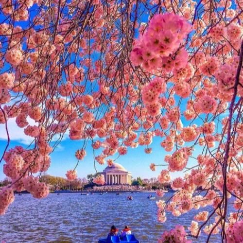  پلیس میکشه ببو ببو نمیریم ولی از رو از رو