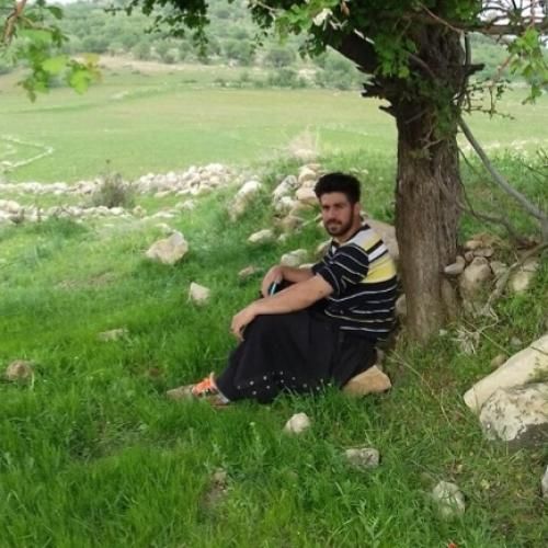 یوسف جمالی تیک دار