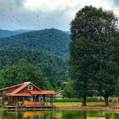  عوض شده یه چیزایی تو سرم خبری نی از رفیقای تو محل