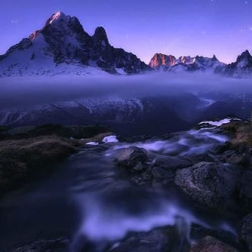  تیممون که رو پا بود شیرمون که روباه بود