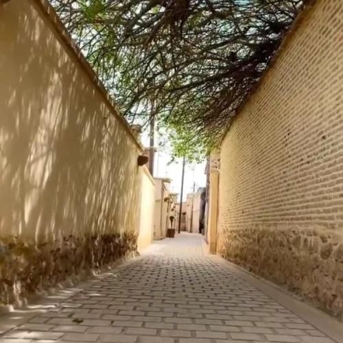 صدام تا پشت بوما هست فنا تو خیابونا عکس