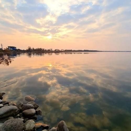 قافله باری کند ز شاه خراسون با صدای زن