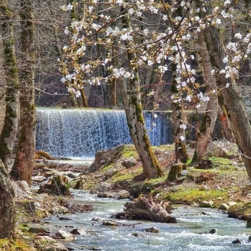  ایقه و پات نشستم ولی ندیدی سیت دل کس نبستم