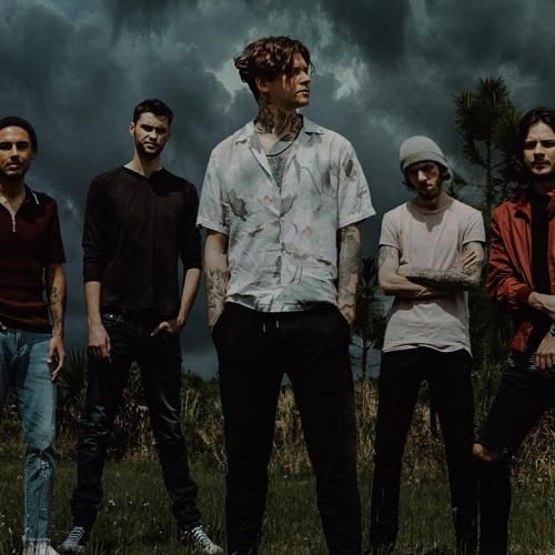 Rain City Drive Neverbloom