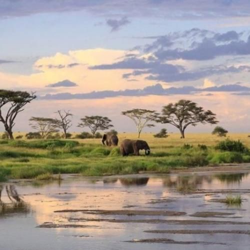 شاید بدون تو باید کنم پرواز دل منم تو این کهکشان