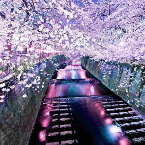  نعشه ام من ساعت ها پای پیک نیک نشسته ام من