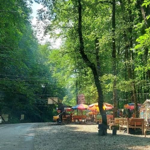  آی تو به باغ رفته بودی بله بله بله رفته بودم با صدای زن