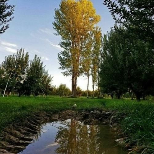 وقتی این بار رفتی شدش حسام عجیب میلرزیدی دیدم چشمات