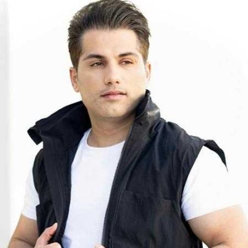 احمد سعیدی این دل بی قراره آره زود بیا دستامو بگیر