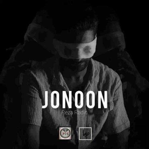 رضا رادین جنون