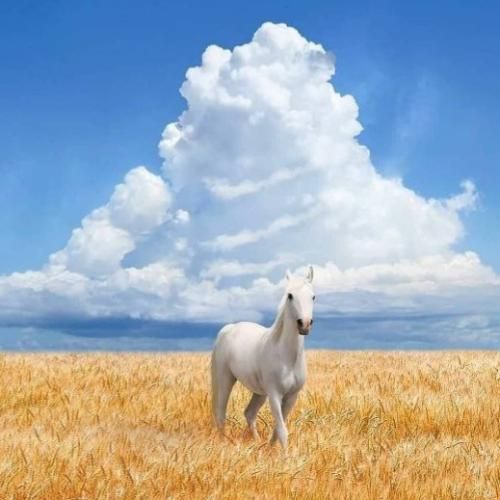  چشمای خیس پلکای خسته احساس میکنم با تو