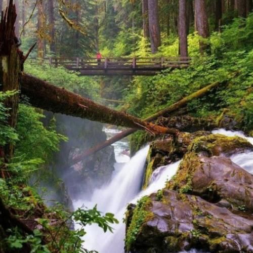  نور میاد بیرون از پنجره این دیوونه هنوز منتفره