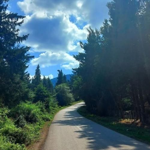  امشب تولدمه و قلبم خوشحاله با صدای دختر