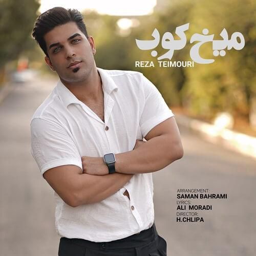 رضا تیموری میخ کوب