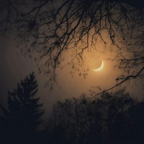 دانلود آهنگ گرگ و میش با صدای بهرام و علی سورنا