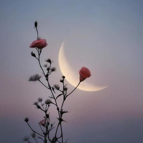 دانلود آهنگ خون خورشید با صدای علی سورنا و بهرام