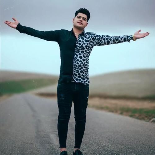 دانلود آهنگ حسرت عشق بازی و یه با وفای تک پر با صدای امیرحافظ رنجبر