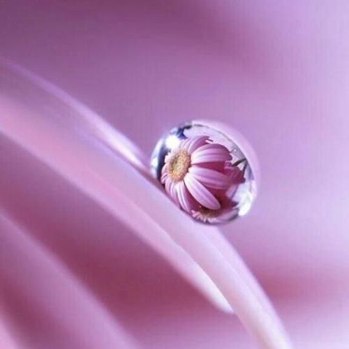 دانلود آهنگ یدونم یدونم یدونه نازلیم با صدای ماهک