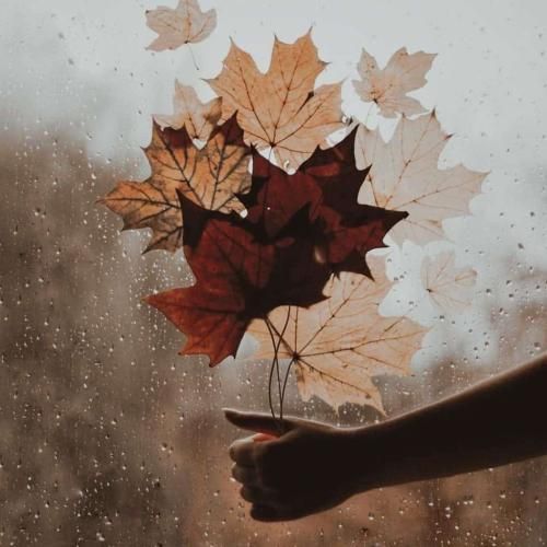  قطع کردی ریتمو بازم حال مرا بد کردی