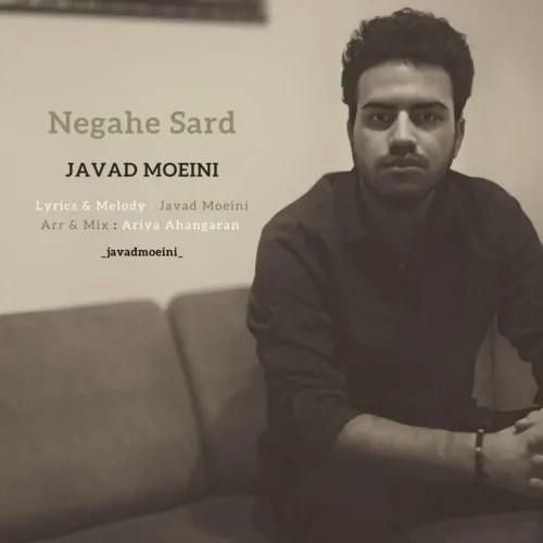 جواد معینی نگاه سرد