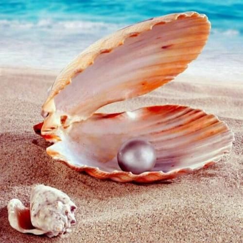  نرو لج نکن باهام بد نشو