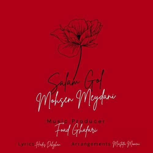 محسن میدانی سلام گل