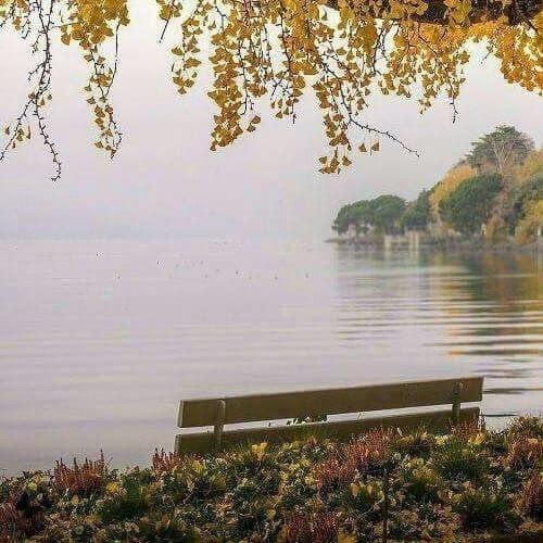 هلن دلم لرزید